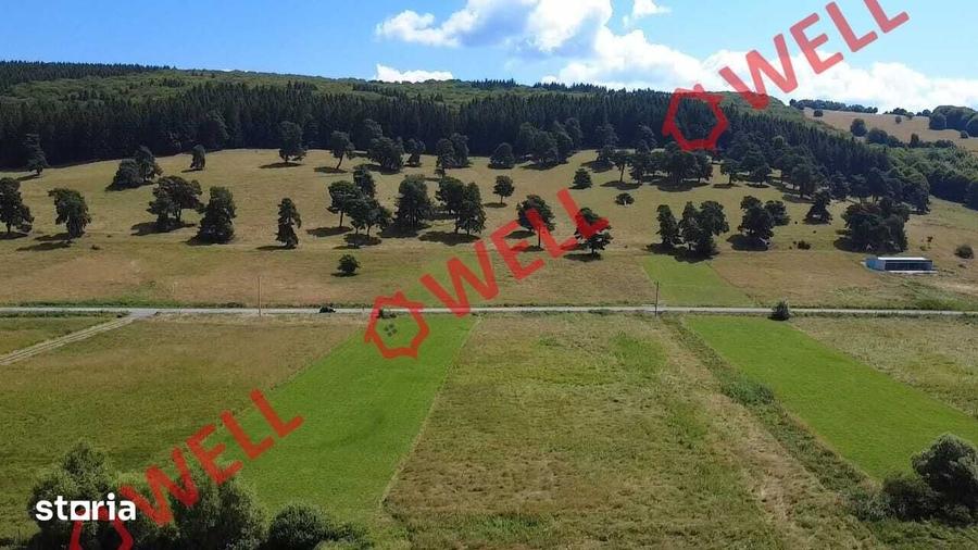 Teren de 3450 mp, în Valea Mare