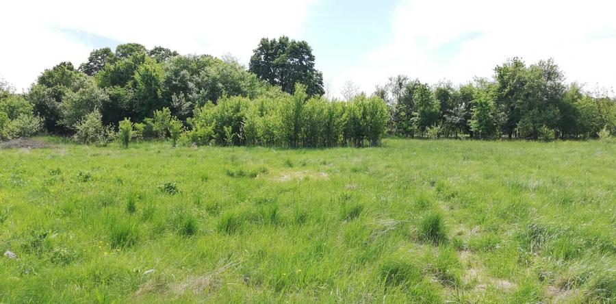 Teren de 11500 mp, în Vărădia de Mureș
