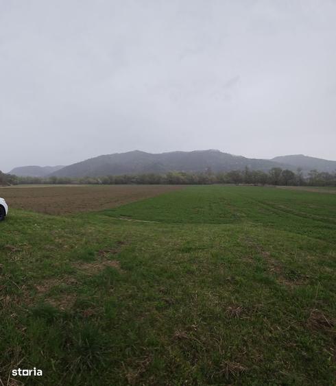 Teren de 4300 mp, în Dobrocina