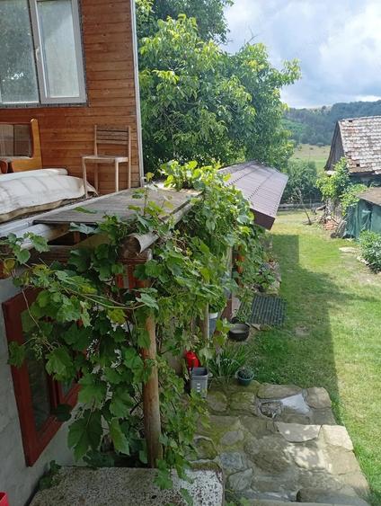 Casă cu Teren 986 Mp în Central