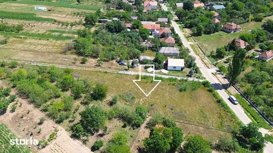 Teren de 3000 mp, în Dănești