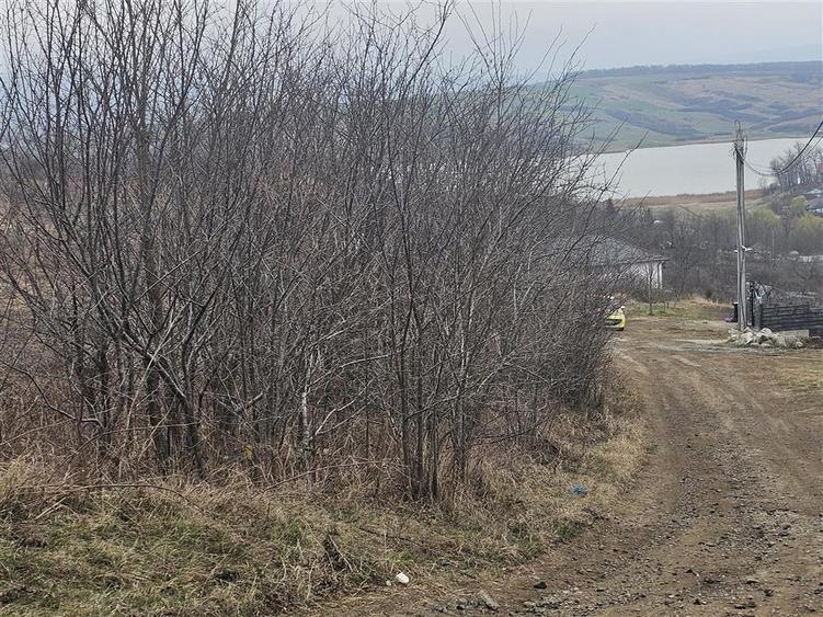 Teren Construcții intravilan de 9000 mp, în Ciurbești