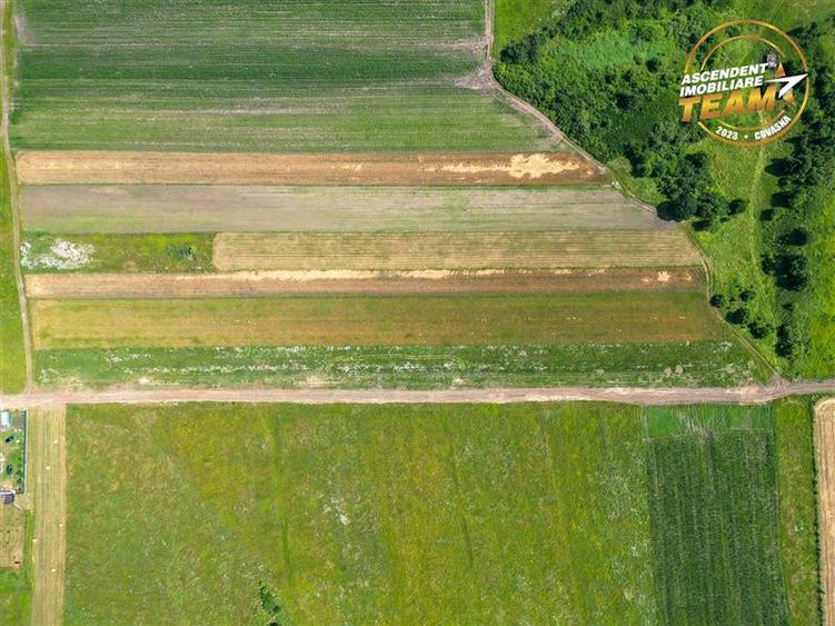 Teren Construcții intravilan de 573 mp, în Sâncraiu