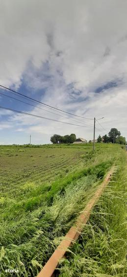 Teren de 13100 mp, în Vornicenii Mici