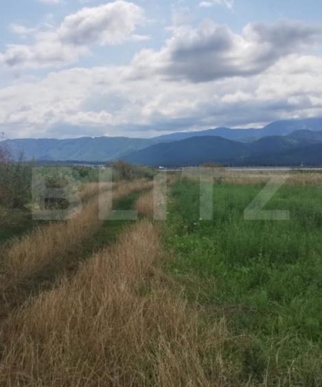 Teren de vanzare, pozi?ie excelenta, pentru investi?ie, - 5