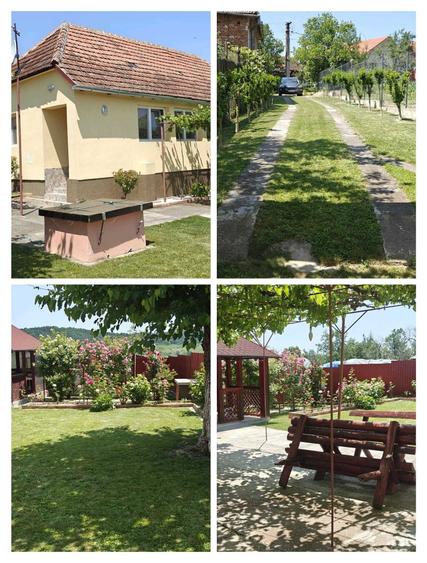 Casă cu 2 camere în Central