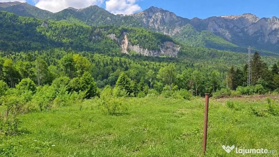 Teren în Cumpătu