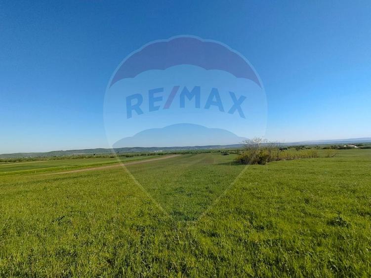 Teren agricol extravilan de 1668 mp, în Gura Râului