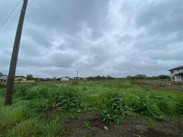 Teren Construcții intravilan de 3993 mp, în Ciorogârla