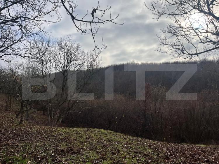 Teren extravilan, 4 hectare, langa livada de mere Ghinda - 6