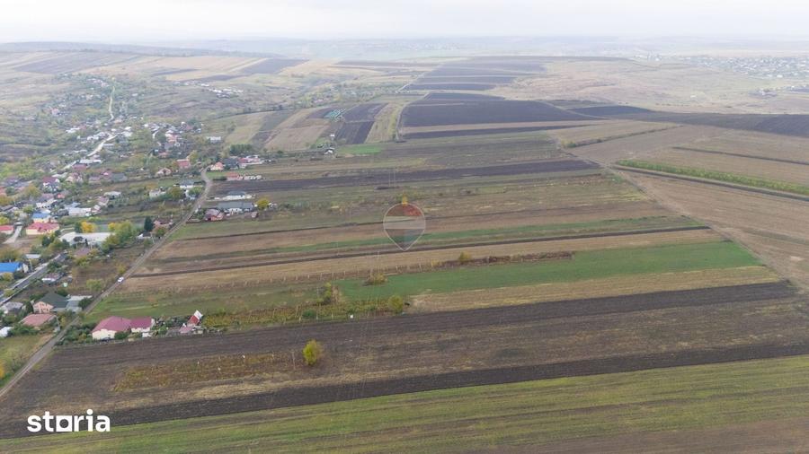 Teren de 7200 mp, în Lețcani