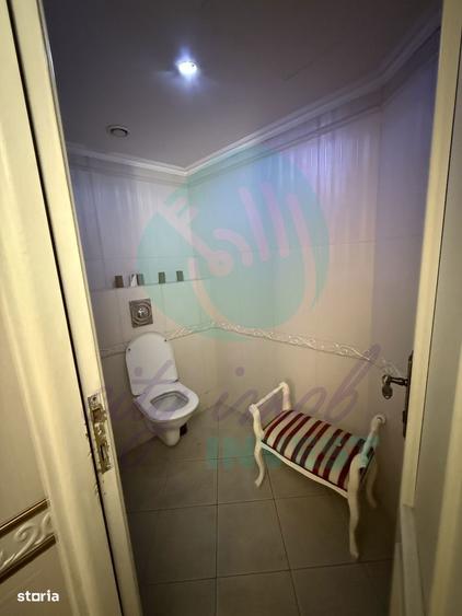 Spațiu comercial, de 332 mp, în Calea Călărașilor
