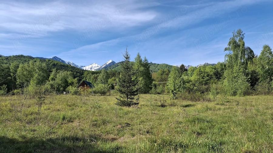 Teren de 3200 mp, în Viștișoara