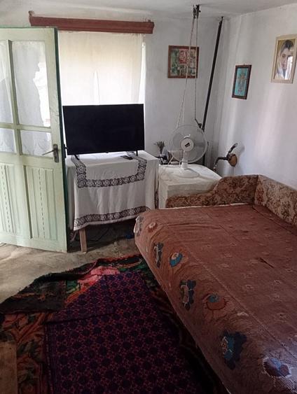 Casa Verbita+Livada de Pruni - 5