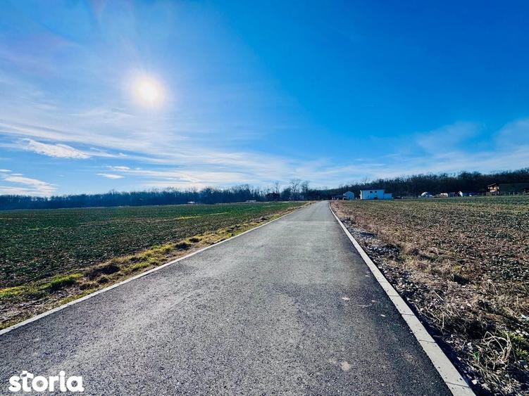 Teren de 1600 mp, în Snagov