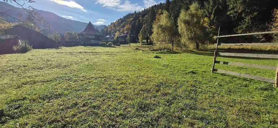 Teren de 4096 mp, în Tarcău