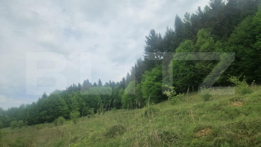 Teren Construcții intravilan de 680 mp, în Dumbrăvița