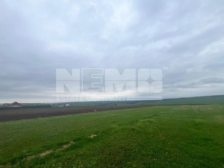Teren agricol extravilan de 800 mp, în Moara
