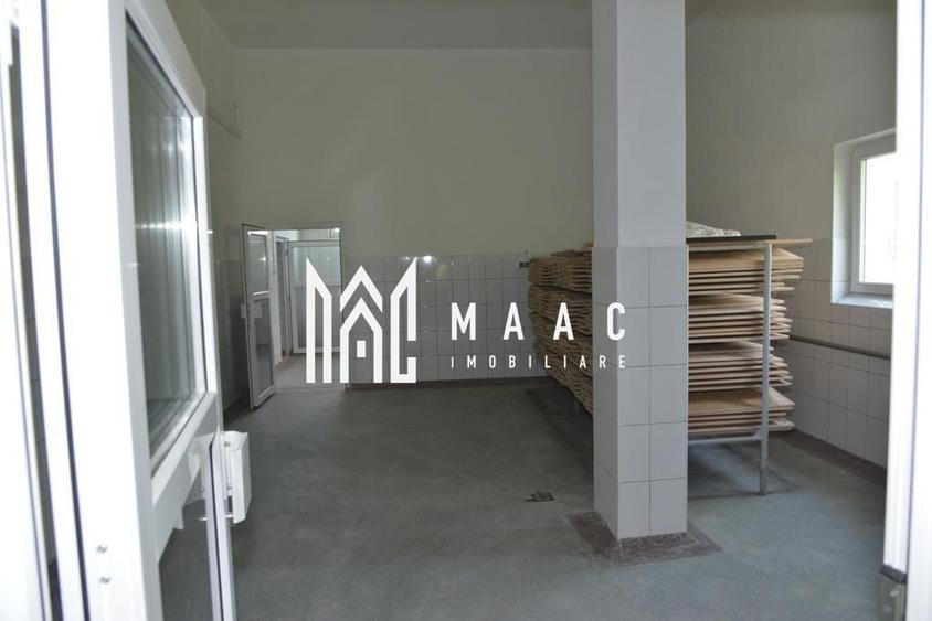 Spațiu industrial, de 2,000 mp, în Țapu