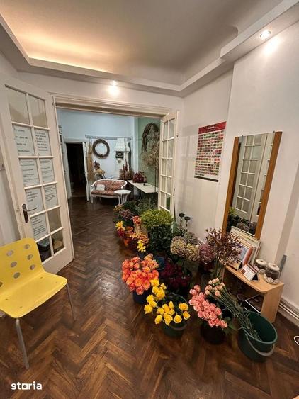 Parter vila Mosilor-Eminescu - 1