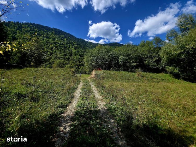 Teren de 1113 mp, în Tarcău
