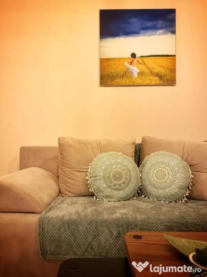 Apartament cu 2 camere semidecomandat în Fortuna