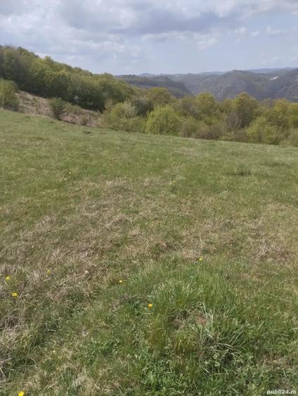 Teren de 3774 mp, în Ghelari