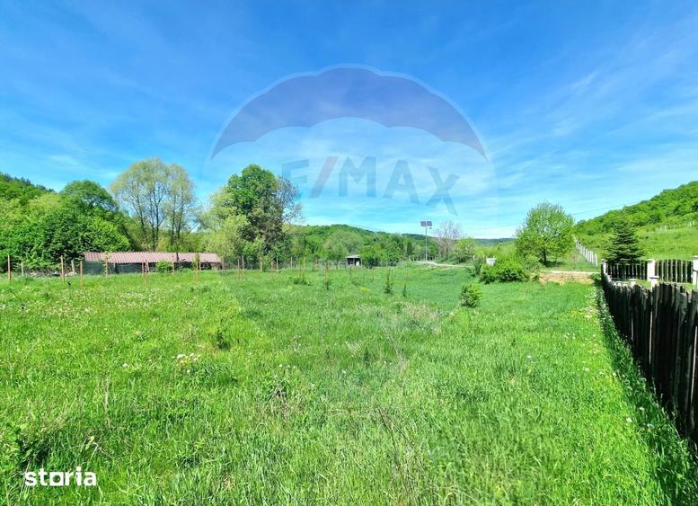 Teren de 8300 mp, în Mărgineni