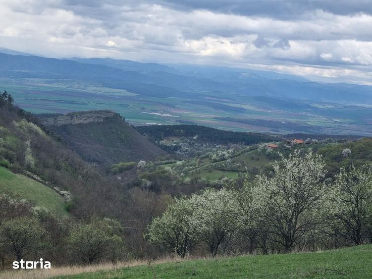 Teren de 7000 mp, în Cetate
