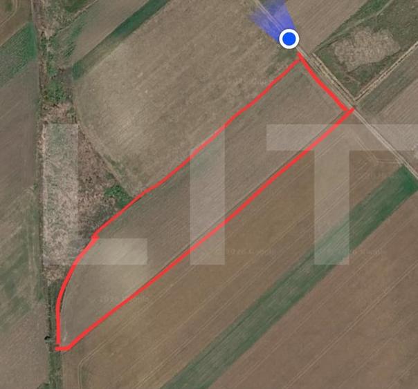Teren agricol extravilan de 5000 mp, în Cristești