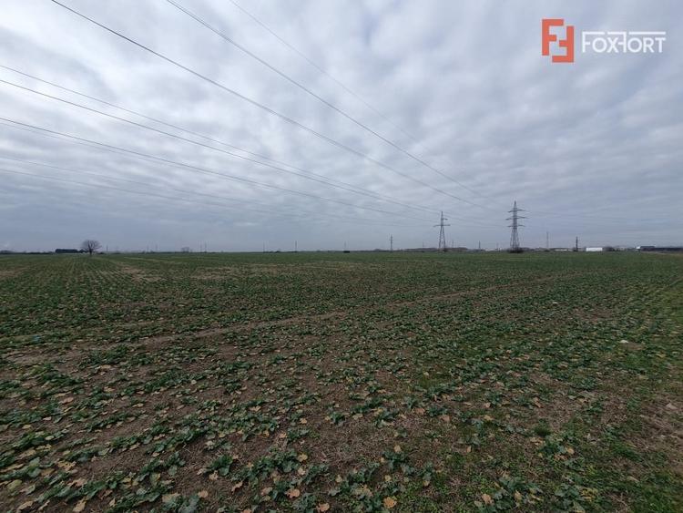Teren Construcții extravilan de 9845 mp, în Șagului