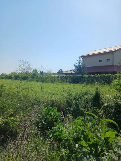Teren de 2538 mp, în Belciugatele