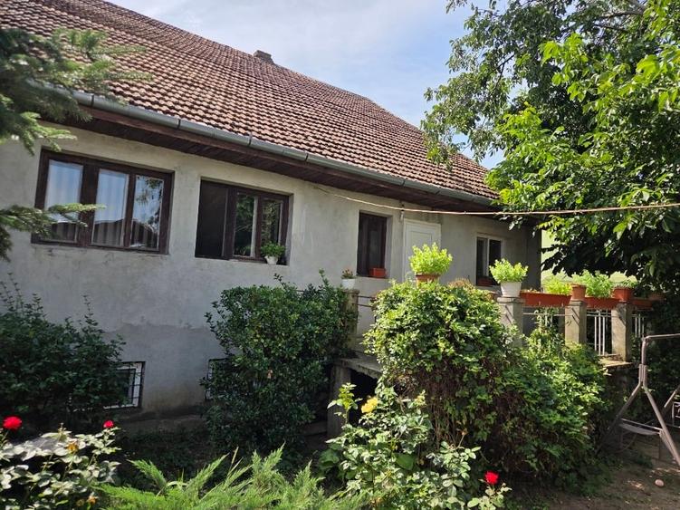 Casă individuală cu 5 camere cu Canalizare în Peciu Nou