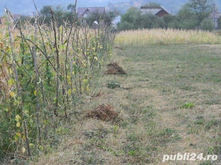 Teren în Valea Iașului
