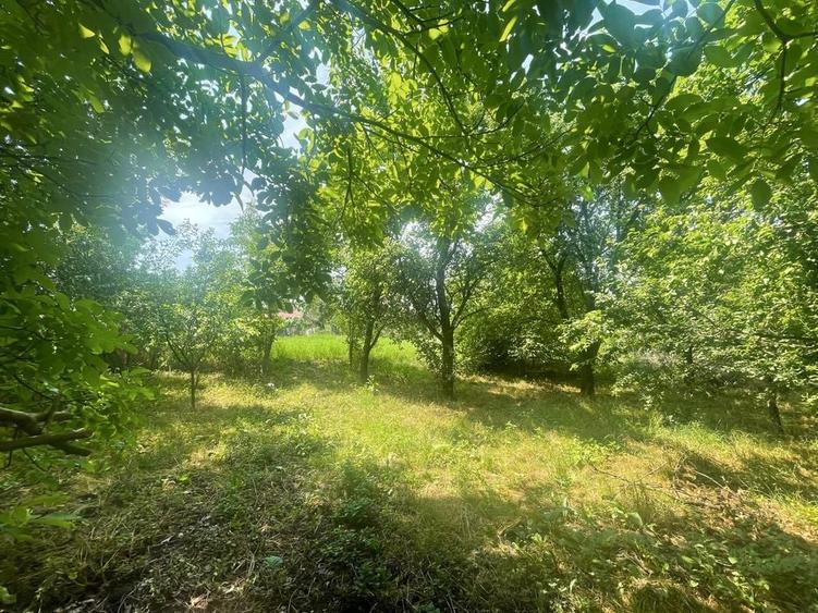 Casă cu 2 camere în Silivașu de Câmpie