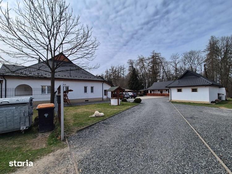 Casă cu 9 camere cu Teren 3500 Mp în Ocna Șugatag