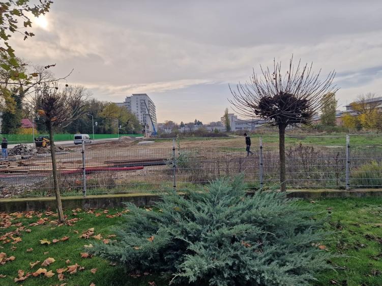 Teren Construcții intravilan de 15000 mp, în Berceni