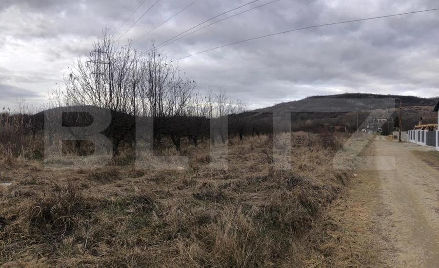 Teren de 1037 mp, în Viforâta