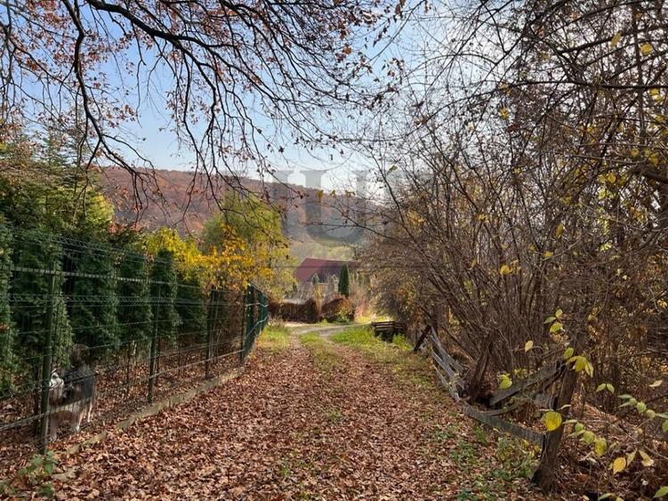 Teren Construcții intravilan de 1095 mp, în Podiș