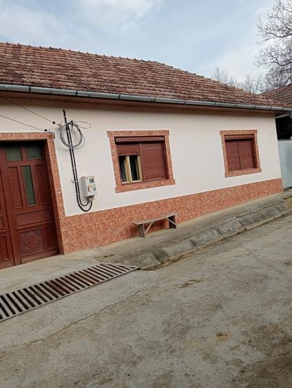 Casă cu Teren 2500 Mp în Globu Craiovei