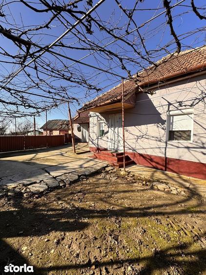 Casă cu 3 camere cu Teren 1413 Mp în Sânnicolau Român