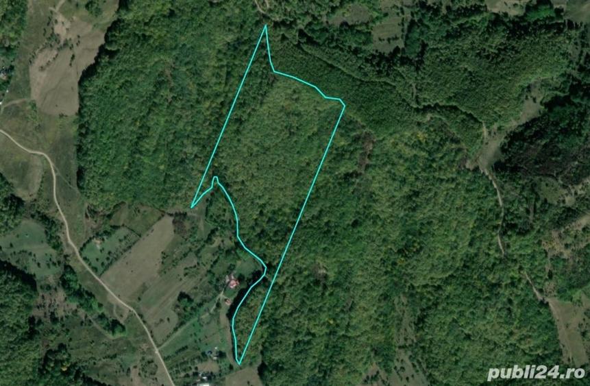 Teren de 80000 mp, în Cănești