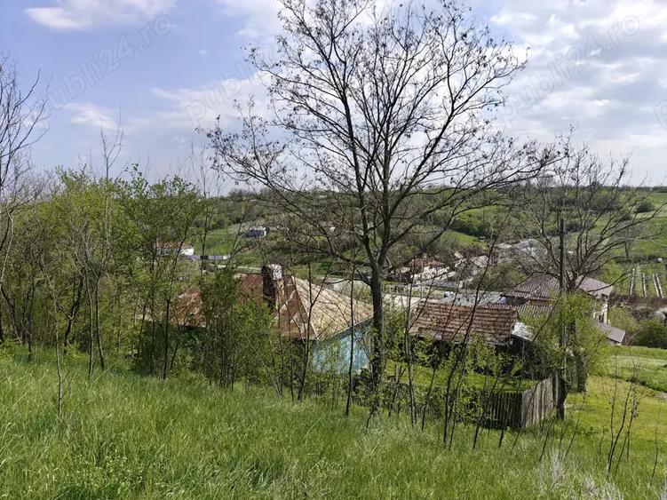 Casă cu 3 camere cu Teren 10300 Mp în Ghercești
