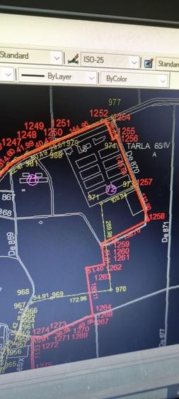 Teren Construcții intravilan de 10000 mp, în Nord-Est