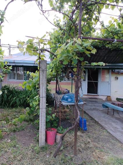Casă cu 7 camere cu Teren 3420 Mp în Miorcani