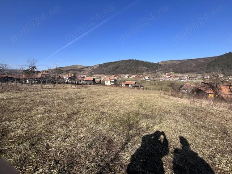 Teren intravilan de vanzare - 5