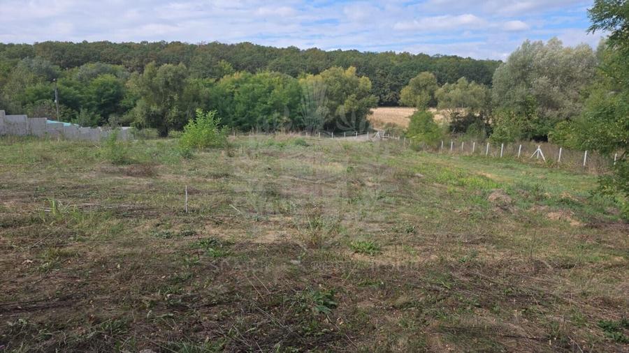 Teren Construcții intravilan de 1350 mp, în Plopu