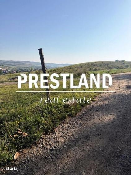 Spațiu comercial, în Șura Mare