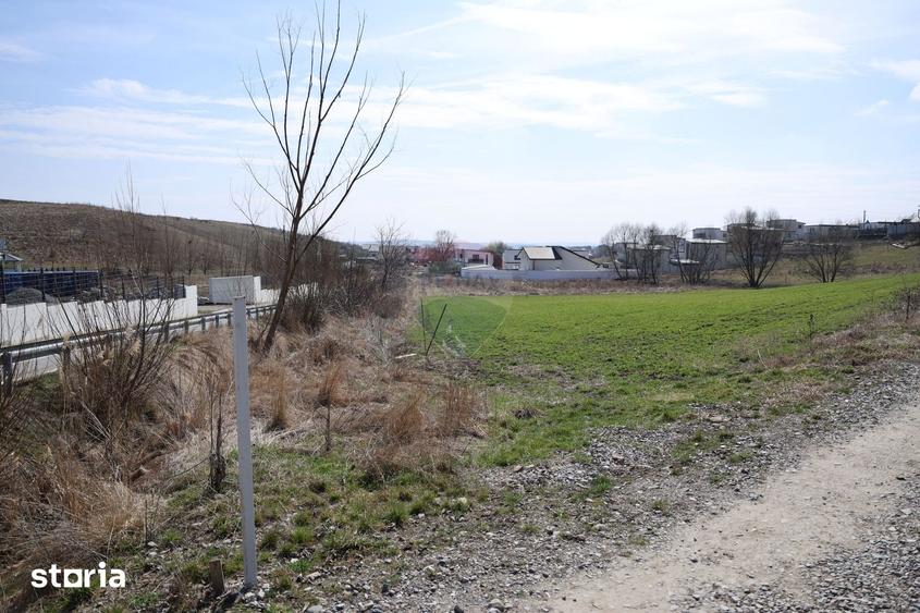 Teren de 3500 mp, în Moara