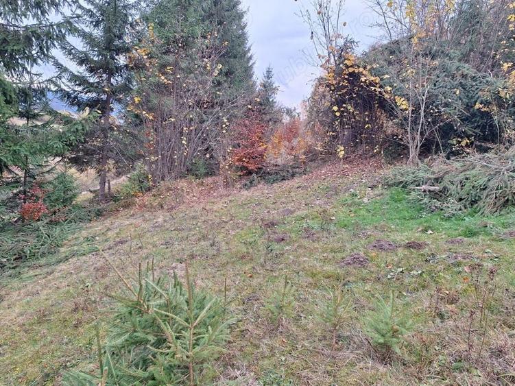 Teren de 1000 mp, în Fericet